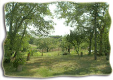 case-vacanze-in-collina-mare